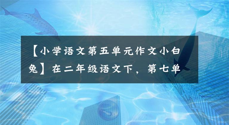 【小學(xué)語(yǔ)文第五單元作文小白兔】在二年級(jí)語(yǔ)文下，第七單元用小動(dòng)物，用五感法修辭，分鐘寫滿200字