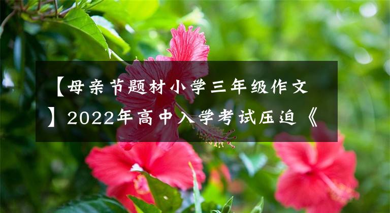 【母親節(jié)題材小學(xué)三年級(jí)作文】2022年高中入學(xué)考試壓迫《母親節(jié)》特輯《痛我心扉的瞬間》展覽回顧