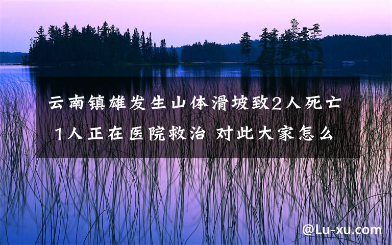 云南鎮(zhèn)雄發(fā)生山體滑坡致2人死亡 1人正在醫(yī)院救治 對(duì)此大家怎么看？