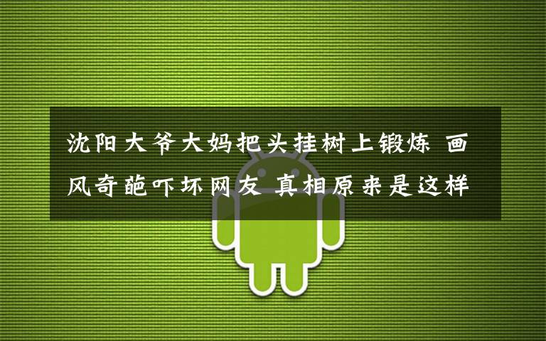 沈陽大爺大媽把頭掛樹上鍛煉 畫風(fēng)奇葩嚇壞網(wǎng)友 真相原來是這樣！