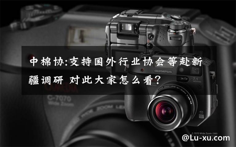 中棉協(xié):支持國(guó)外行業(yè)協(xié)會(huì)等赴新疆調(diào)研 對(duì)此大家怎么看？