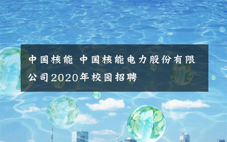 中國核能 中國核能電力股份有限公司2020年校園招聘