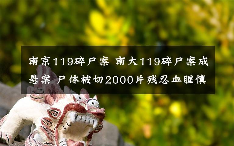 南京119碎尸案 南大119碎尸案成懸案 尸體被切2000片殘忍血腥慎點(diǎn)