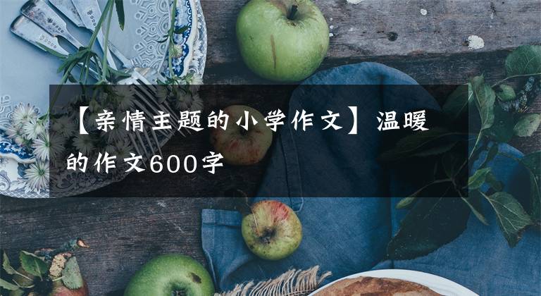 【親情主題的小學(xué)作文】溫暖的作文600字