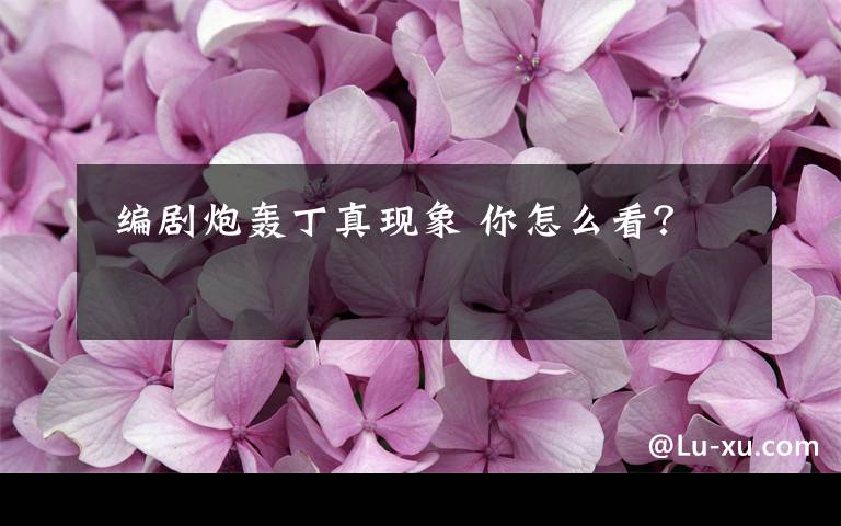  編劇炮轟丁真現(xiàn)象 你怎么看？