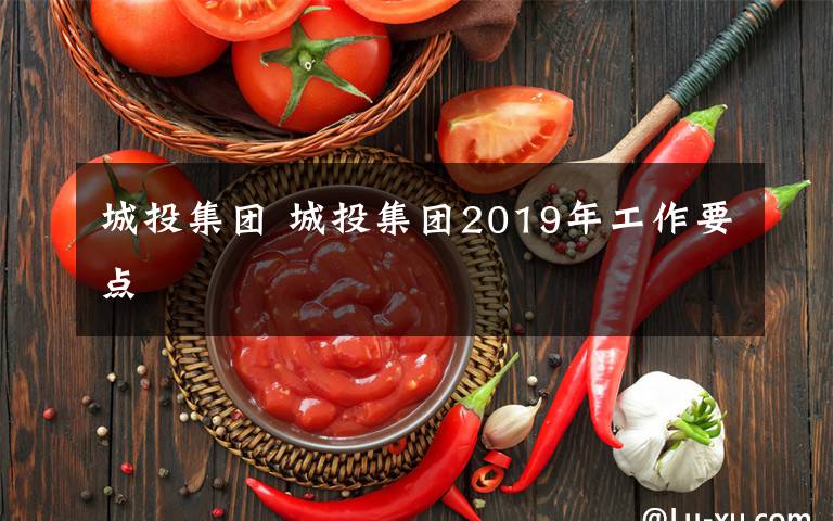 城投集團(tuán) 城投集團(tuán)2019年工作要點