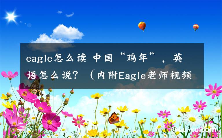 eagle怎么讀 中國“雞年”，英語怎么說？（內(nèi)附Eagle老師視頻）