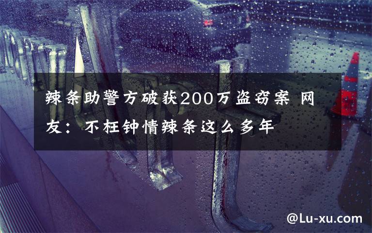 辣條助警方破獲200萬盜竊案 網(wǎng)友：不枉鐘情辣條這么多年