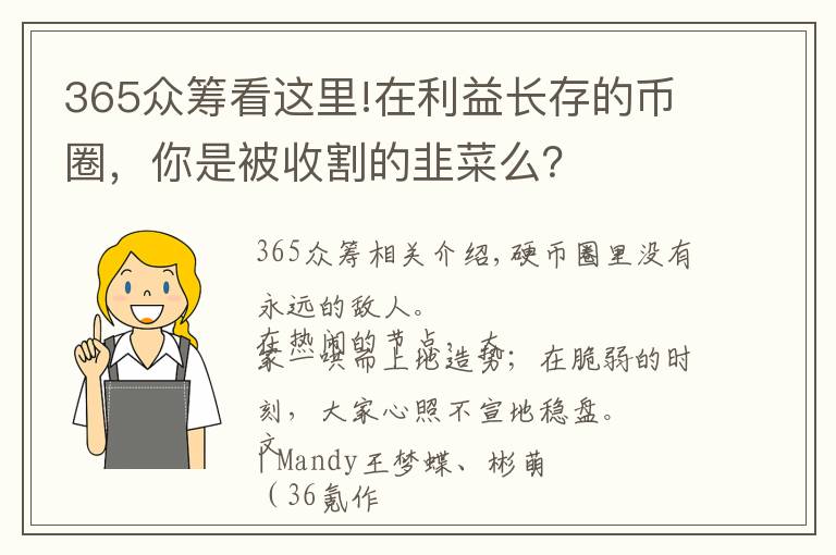 365眾籌看這里!在利益長存的幣圈，你是被收割的韭菜么？