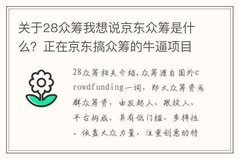 關于28眾籌我想說京東眾籌是什么？正在京東搞眾籌的牛逼項目！