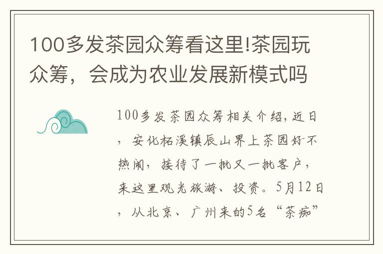 100多發(fā)茶園眾籌看這里!茶園玩眾籌，會成為農(nóng)業(yè)發(fā)展新模式嗎？