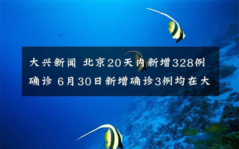 大興新聞 北京20天內(nèi)新增328例確診 6月30日新增確診3例均在大興