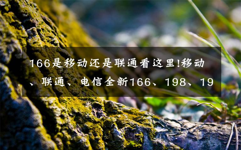 166是移動(dòng)還是聯(lián)通看這里!移動(dòng)、聯(lián)通、電信全新166、198、199開(kāi)頭手機(jī)號(hào)要來(lái)了！