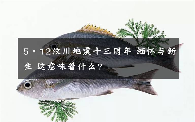 5·12汶川地震十三周年 緬懷與新生 這意味著什么?