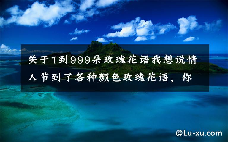 關(guān)于1到999朵玫瑰花語我想說情人節(jié)到了各種顏色玫瑰花語，你一定知道！