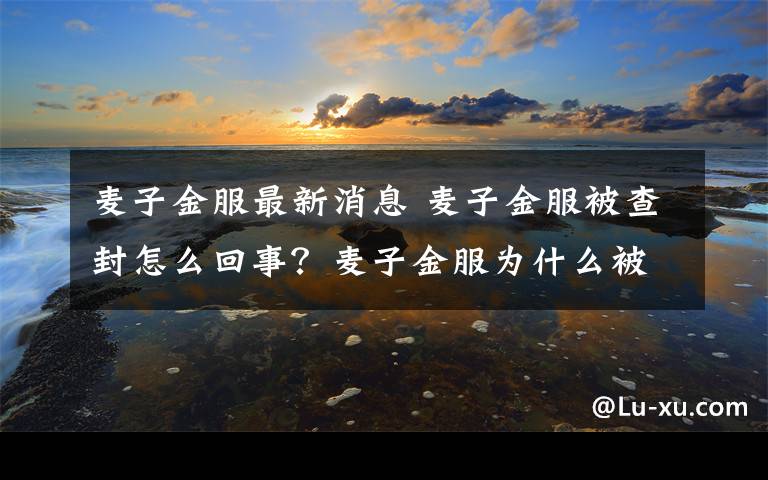 麥子金服最新消息 麥子金服被查封怎么回事？麥子金服為什么被查封背后原因揭秘