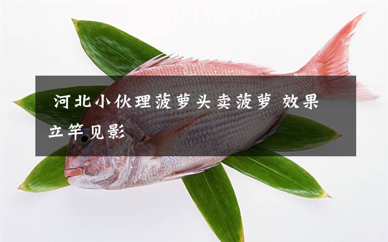  河北小伙理菠蘿頭賣(mài)菠蘿 效果立竿見(jiàn)影