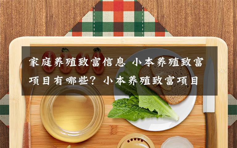 家庭養(yǎng)殖致富信息 小本養(yǎng)殖致富項(xiàng)目有哪些？小本養(yǎng)殖致富項(xiàng)目做什么好？