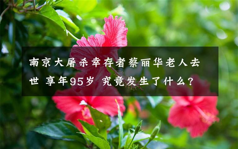 南京大屠殺幸存者蔡麗華老人去世 享年95歲 究竟發(fā)生了什么?