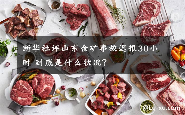 新華社評山東金礦事故遲報30小時 到底是什么狀況？