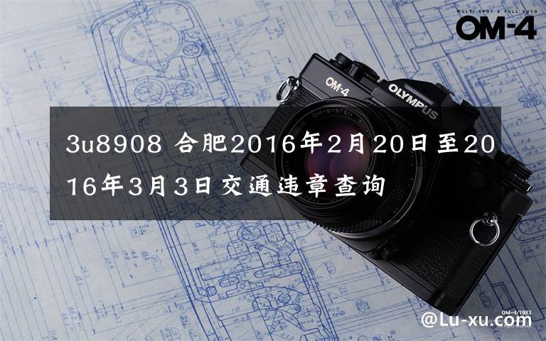 3u8908 合肥2016年2月20日至2016年3月3日交通違章查詢