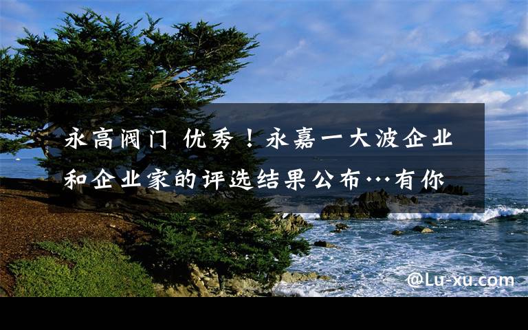 永高閥門 優(yōu)秀！永嘉一大波企業(yè)和企業(yè)家的評選結(jié)果公布…有你熟悉的嗎？