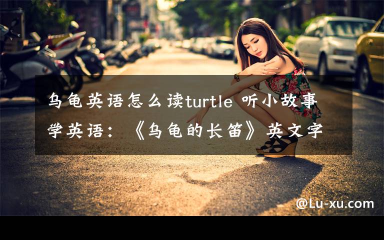 烏龜英語怎么讀turtle 聽小故事學(xué)英語：《烏龜?shù)拈L笛》英文字幕