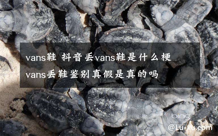 vans鞋 抖音丟vans鞋是什么梗 vans丟鞋鑒別真假是真的嗎