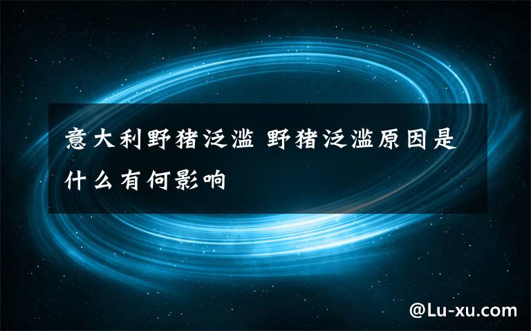 意大利野豬泛濫 野豬泛濫原因是什么有何影響