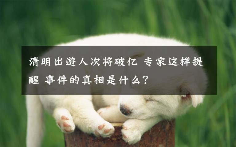 清明出游人次將破億 專家這樣提醒 事件的真相是什么？