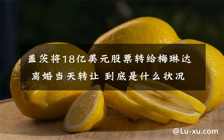 蓋茨將18億美元股票轉(zhuǎn)給梅琳達(dá) 離婚當(dāng)天轉(zhuǎn)讓 到底是什么狀況？