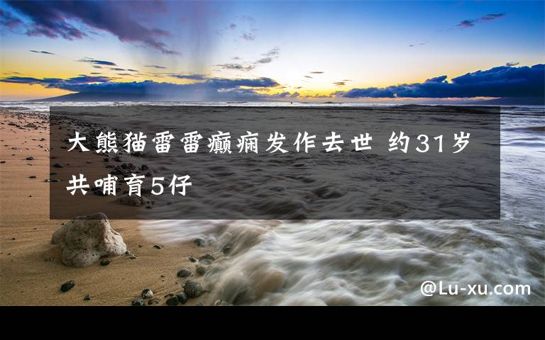 大熊貓雷雷癲癇發(fā)作去世 約31歲共哺育5仔