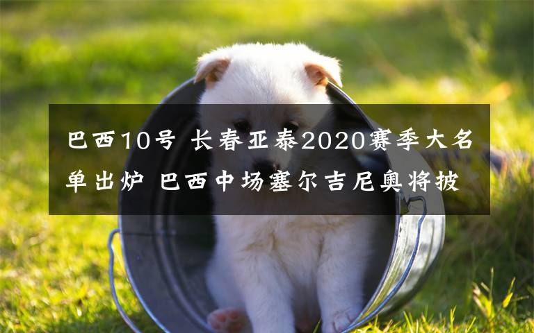 巴西10號 長春亞泰2020賽季大名單出爐 巴西中場塞爾吉尼奧將披10號戰(zhàn)袍征戰(zhàn)新賽季