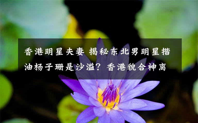 香港明星夫妻 揭秘東北男明星揩油楊子珊是沙溢？香港貌合神離的夫妻是誰？