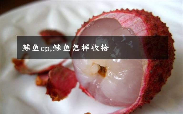 鮭魚cp,鮭魚怎樣收拾