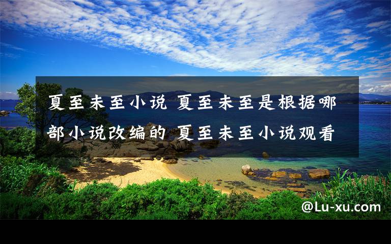 夏至未至小說 夏至未至是根據(jù)哪部小說改編的 夏至未至小說觀看網(wǎng)站