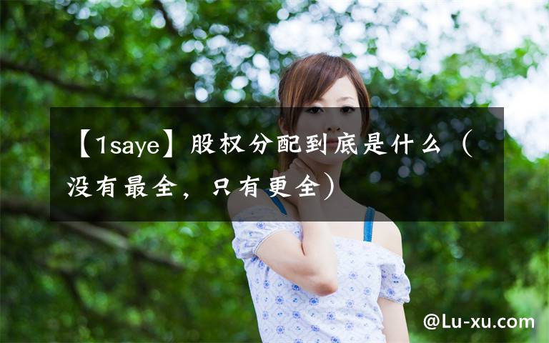 【1saye】股權(quán)分配到底是什么（沒有最全，只有更全）