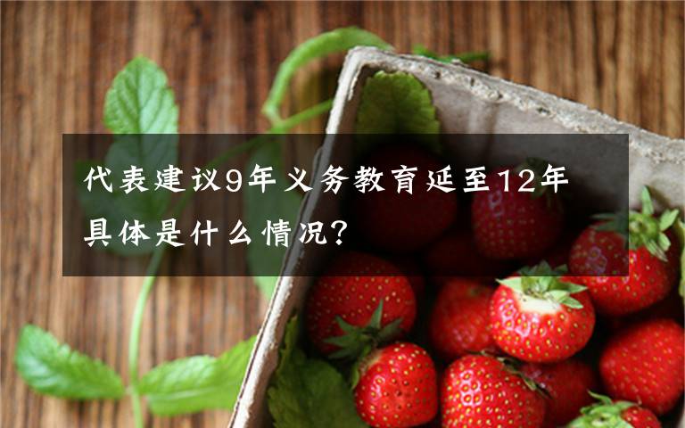 代表建議9年義務(wù)教育延至12年 具體是什么情況？