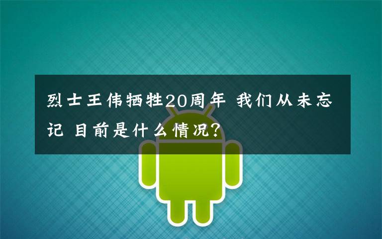 烈士王偉犧牲20周年 我們從未忘記 目前是什么情況？