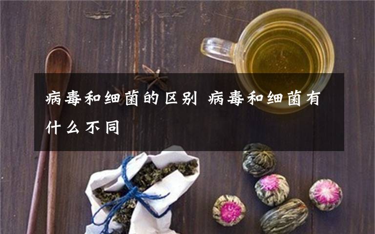 病毒和細菌的區(qū)別 病毒和細菌有什么不同