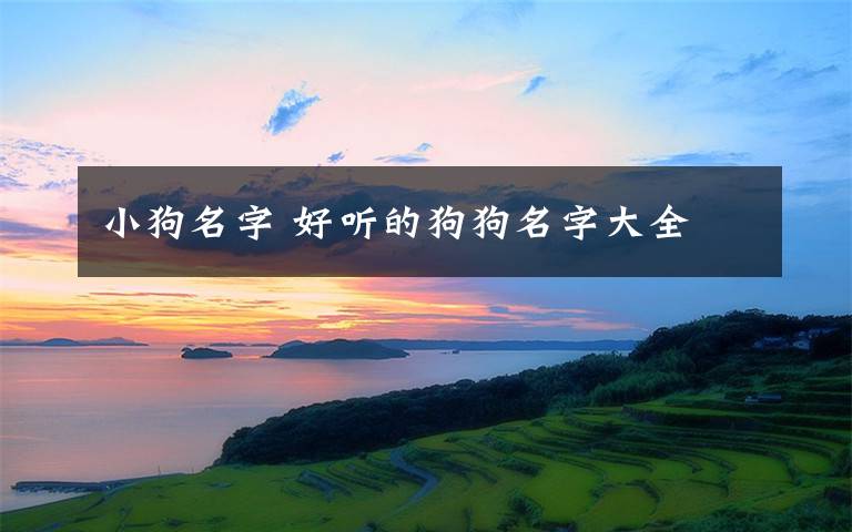 小狗名字 好聽的狗狗名字大全