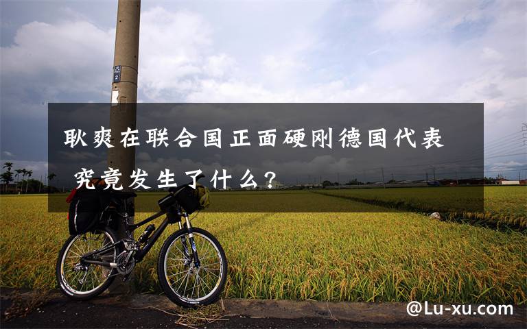 耿爽在聯(lián)合國正面硬剛德國代表 究竟發(fā)生了什么?