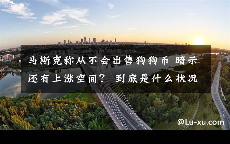 馬斯克稱從不會出售狗狗幣 暗示還有上漲空間？ 到底是什么狀況？