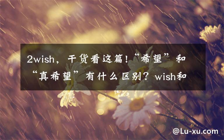 2wish，干貨看這篇!“希望”和“真希望”有什么區(qū)別？wish和hope有不同，這個必須背