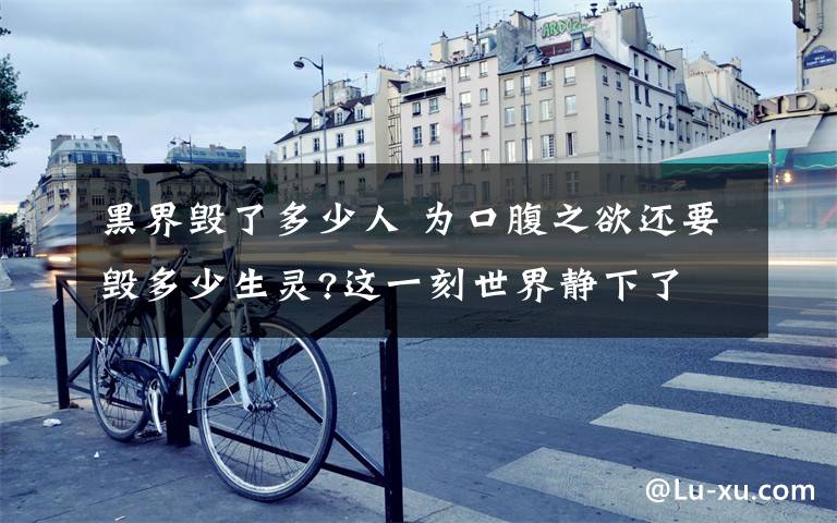 黑界毀了多少人 為口腹之欲還要毀多少生靈?這一刻世界靜下了 人類的貪婪太可怕