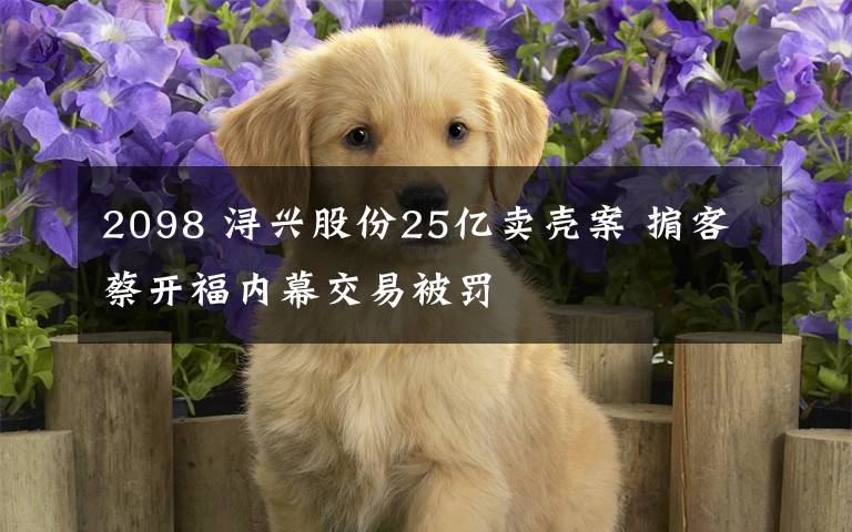 2098 潯興股份25億賣殼案 掮客蔡開福內(nèi)幕交易被罰