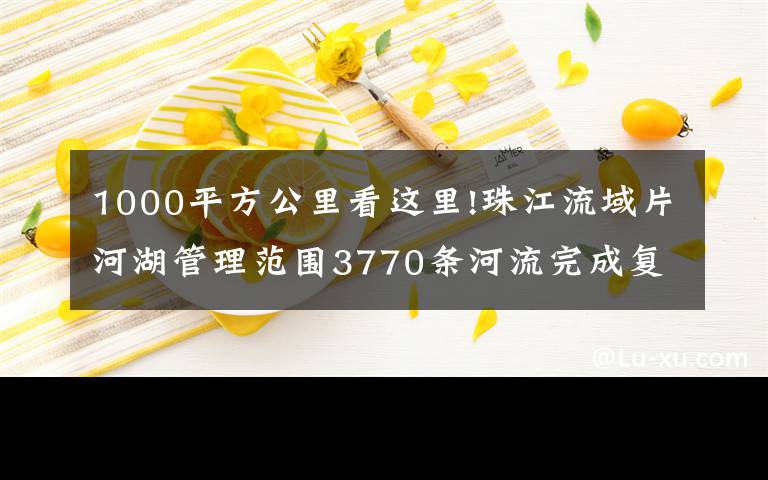 1000平方公里看這里!珠江流域片河湖管理范圍3770條河流完成復(fù)核