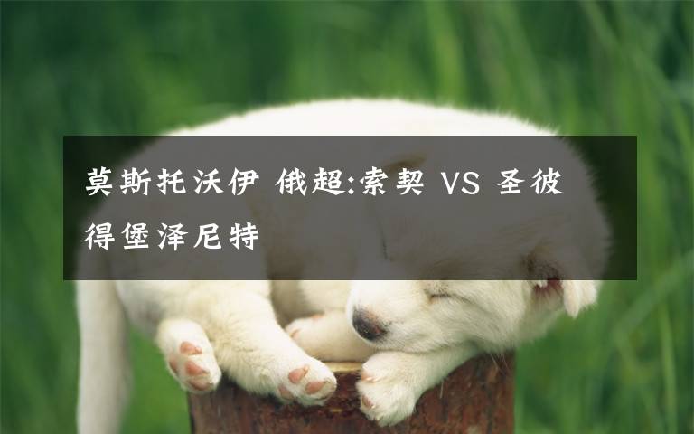 莫斯托沃伊 俄超:索契 VS 圣彼得堡澤尼特