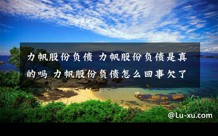 力帆股份負債 力帆股份負債是真的嗎 力帆股份負債怎么回事欠了多少錢