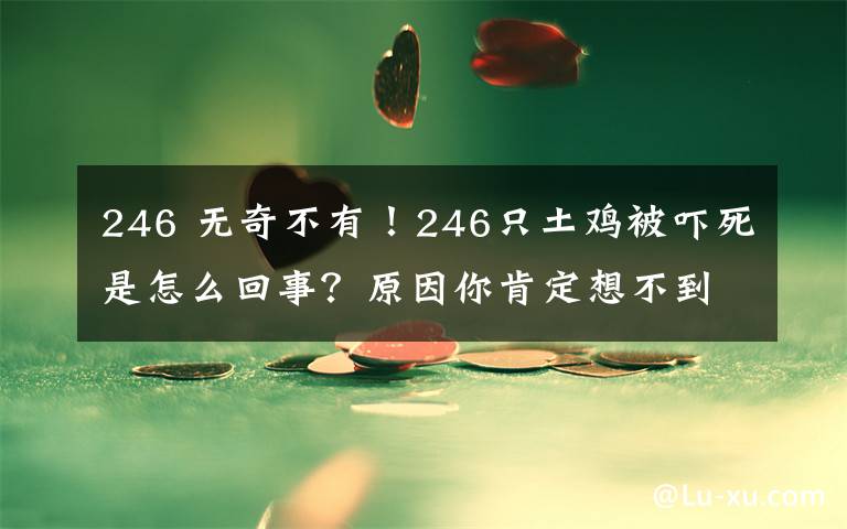 246 無奇不有！246只土雞被嚇?biāo)朗窃趺椿厥?？原因你肯定想不?> </div>
              <div   id=